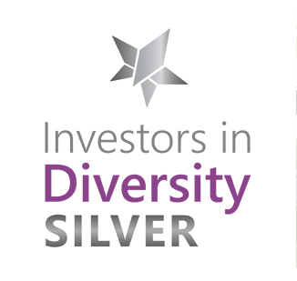 diversity sliver award